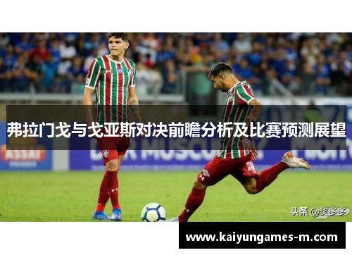 弗拉门戈与戈亚斯对决前瞻分析及比赛预测展望