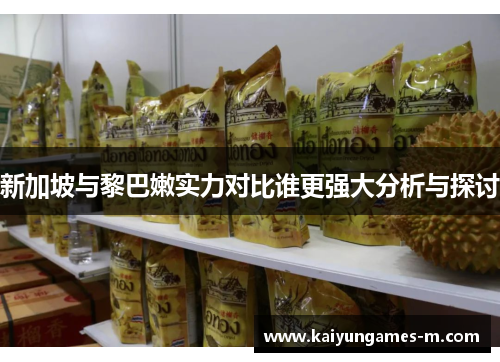 新加坡与黎巴嫩实力对比谁更强大分析与探讨