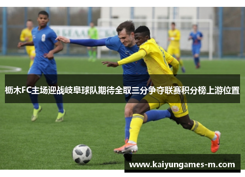 枥木FC主场迎战岐阜球队期待全取三分争夺联赛积分榜上游位置